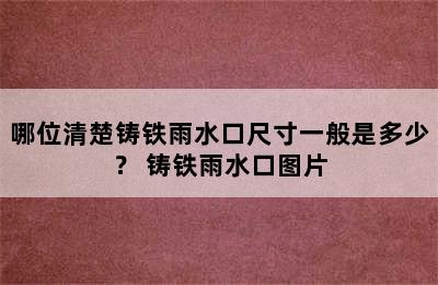 哪位清楚铸铁雨水口尺寸一般是多少？ 铸铁雨水口图片